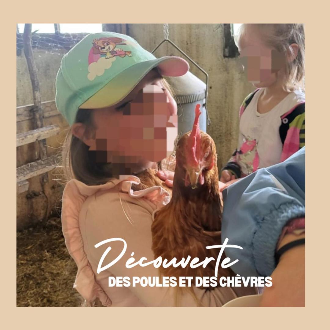 La Ferme Du Solvat Apartment Courcelon Екстериор снимка